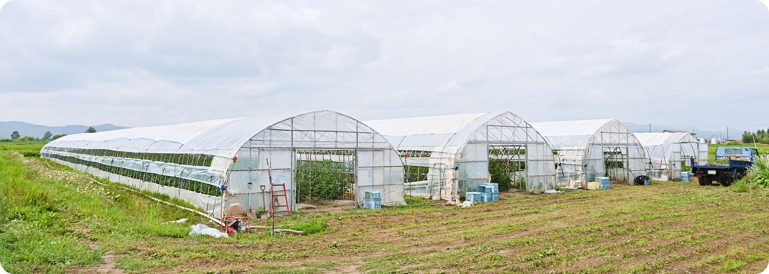 ビニールハウス