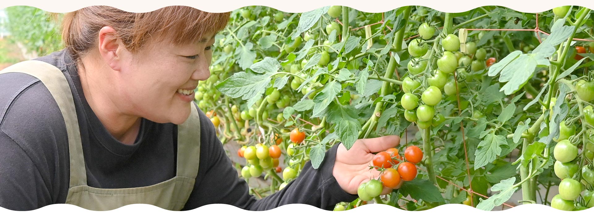 高橋農園について