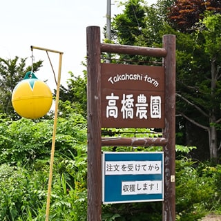 高橋農園看板